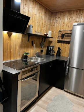 Seaside apartment at Holmen